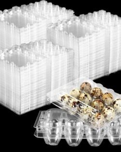 BILDIRCIN YUMURTASI VİYOLÜ Boş Plastik 300 adet